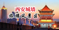 干肥逼中国陕西-西安城墙旅游风景区