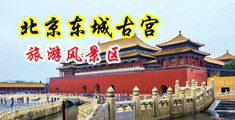 放一个操逼老头中国北京-东城古宫旅游风景区
